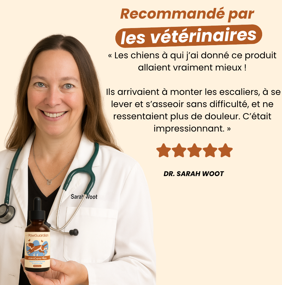 JointCare Plus - Huile articulaire réparatrice
