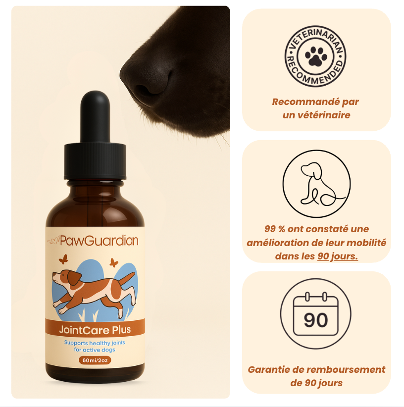 JointCare Plus - Huile articulaire réparatrice