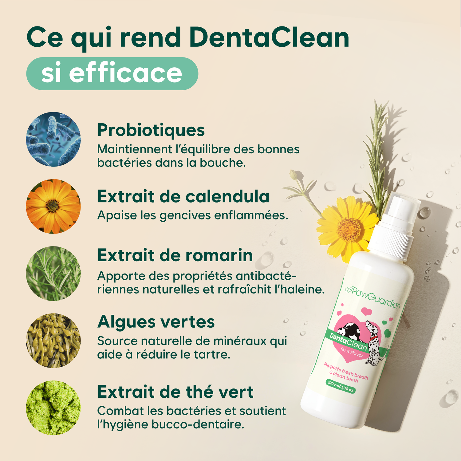 Spray dentaire anti-tartre - chiens/chats